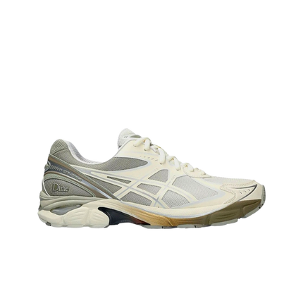 ASICS GT-2160 DIME Arctic Wolf